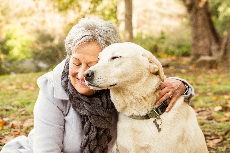 beneficios del perro