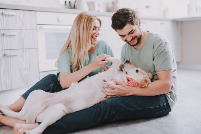 pareja juega con perro