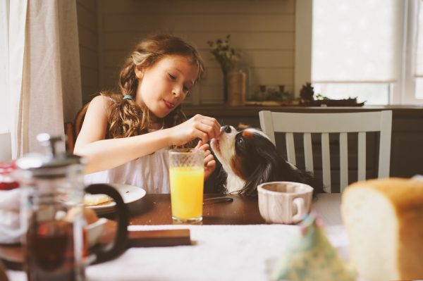 niña da de comer a su perro