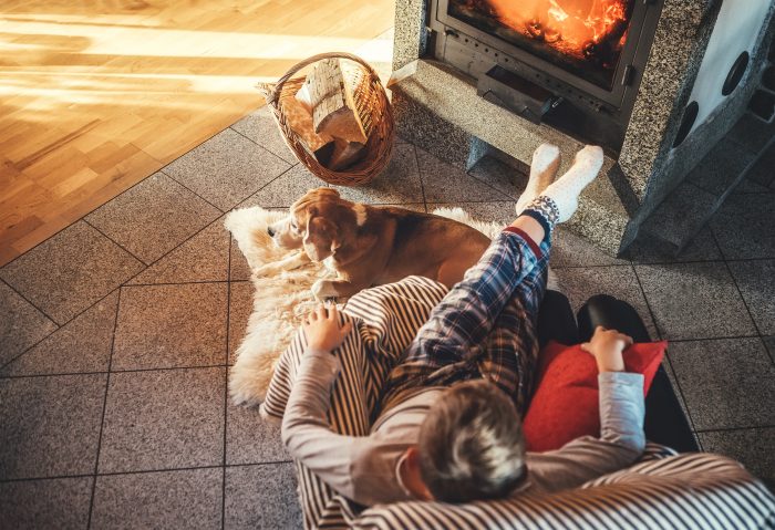 hogar con chimenea y perro