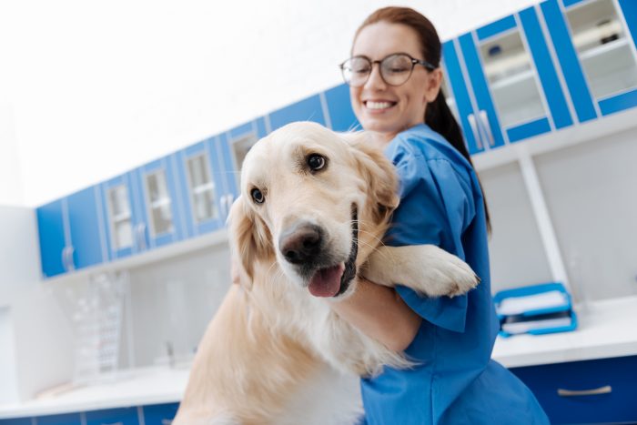 veterinaria con perro