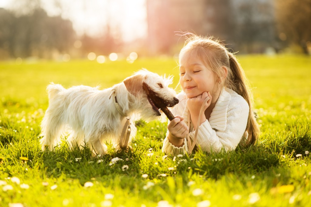 niña y cachorro en el cesped