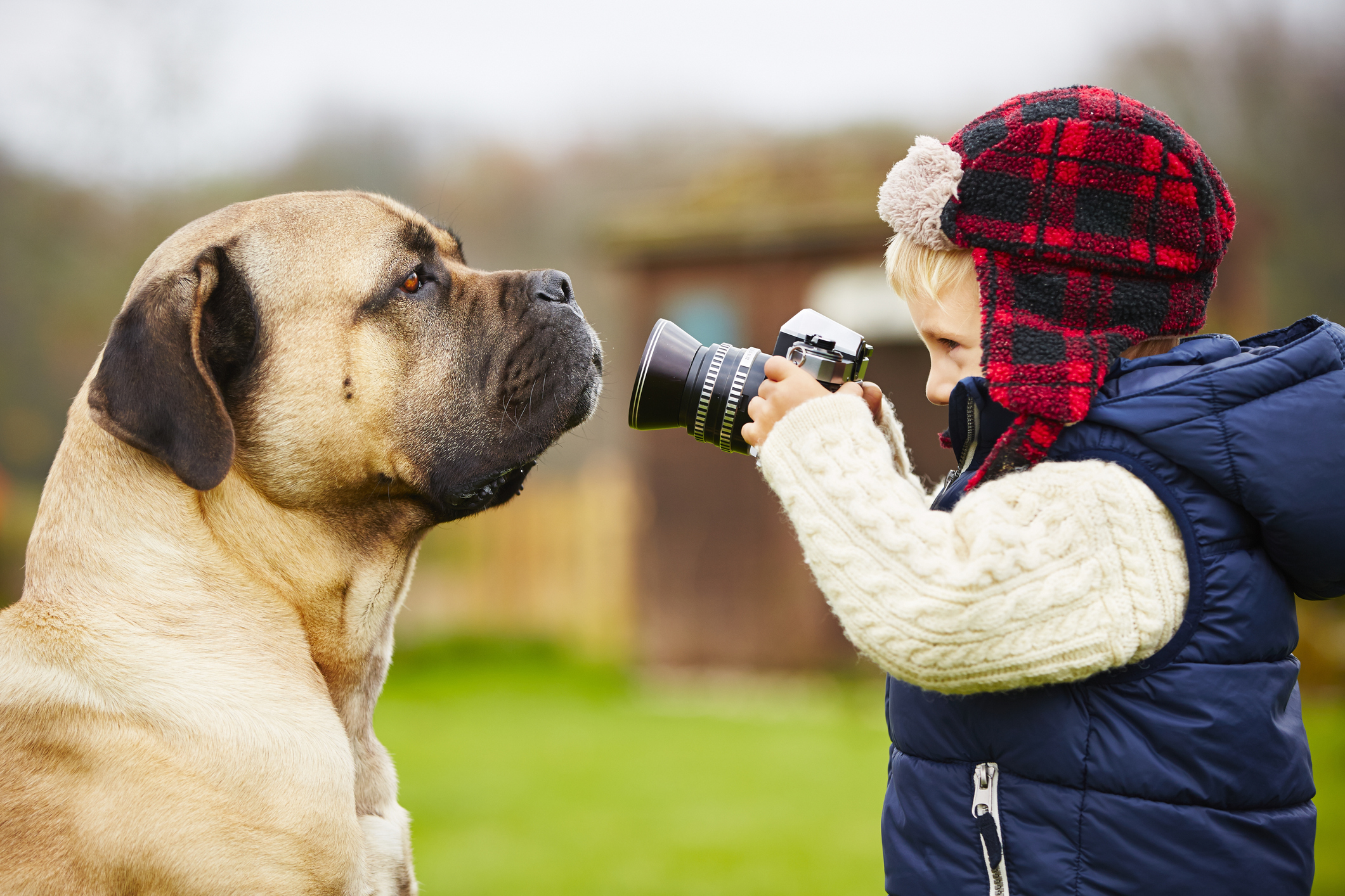 foto perro