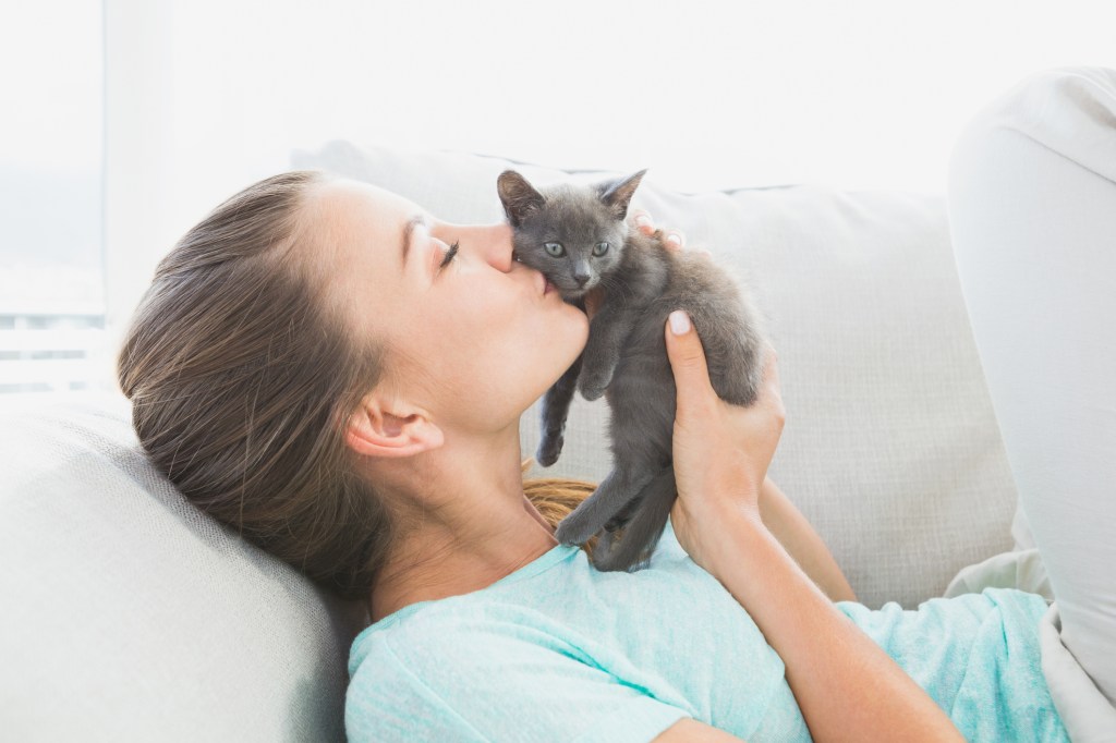 gato recién nacido y dueña