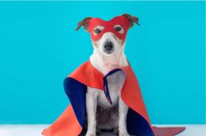 disfraz perro
