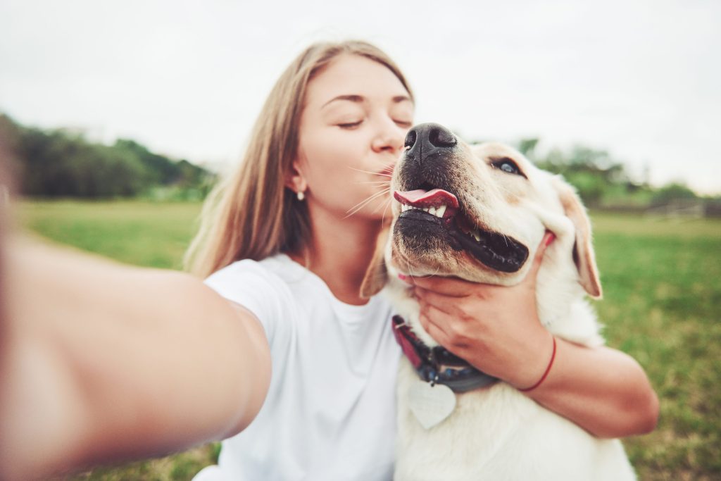 aprende a premiar a tu perro