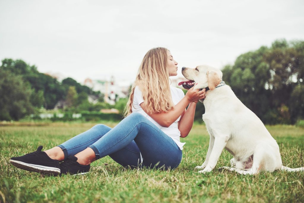 razas de perro amigables