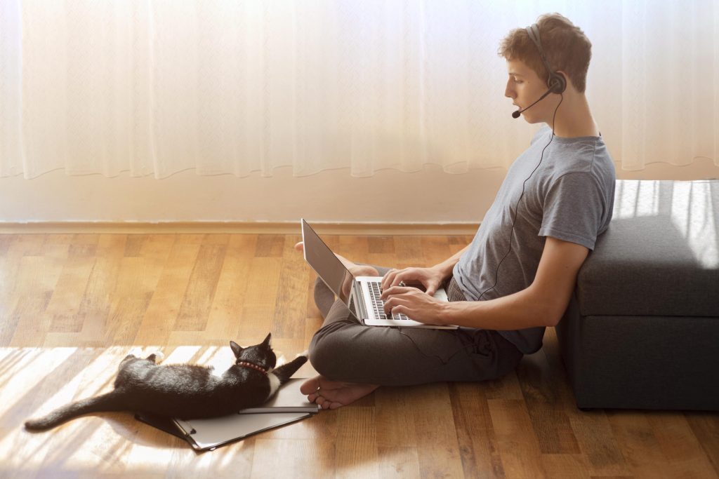 trabajar desde casa con tu gato