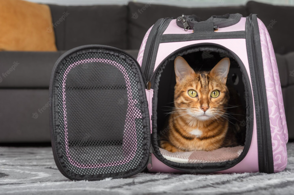 LAS MEJORES MOCHILAS PARA VIAJAR CON TU GATO MyPet