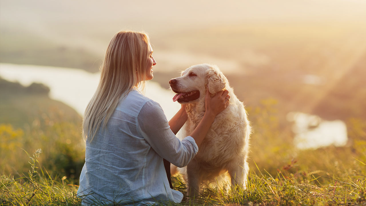 Consejos e ideas para disfrutar de un estilo de vida saludable con tu mascota