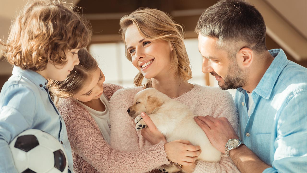 Introducir una nueva mascota en casa