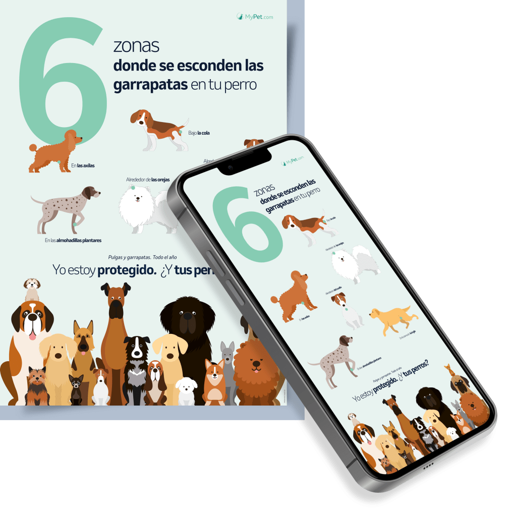 Guía_y_teléfono