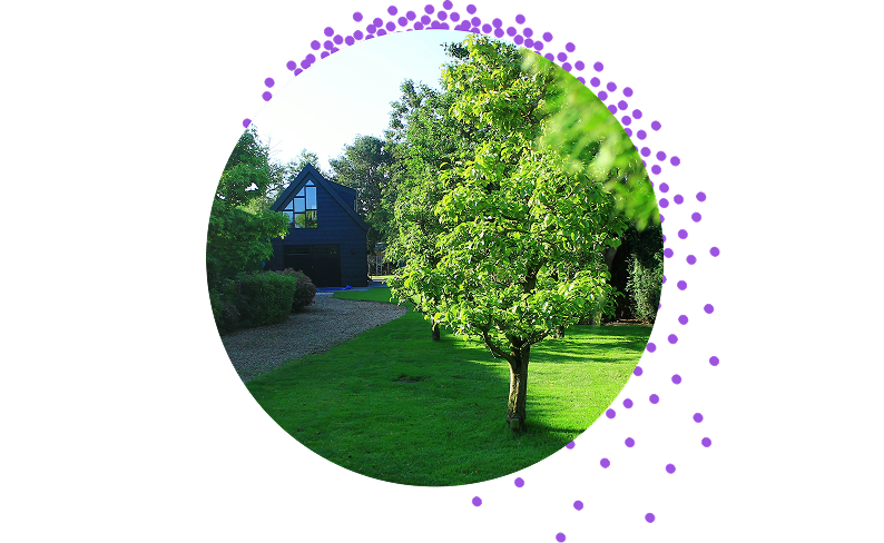 Garden Time